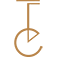 Trium Conseil Logo